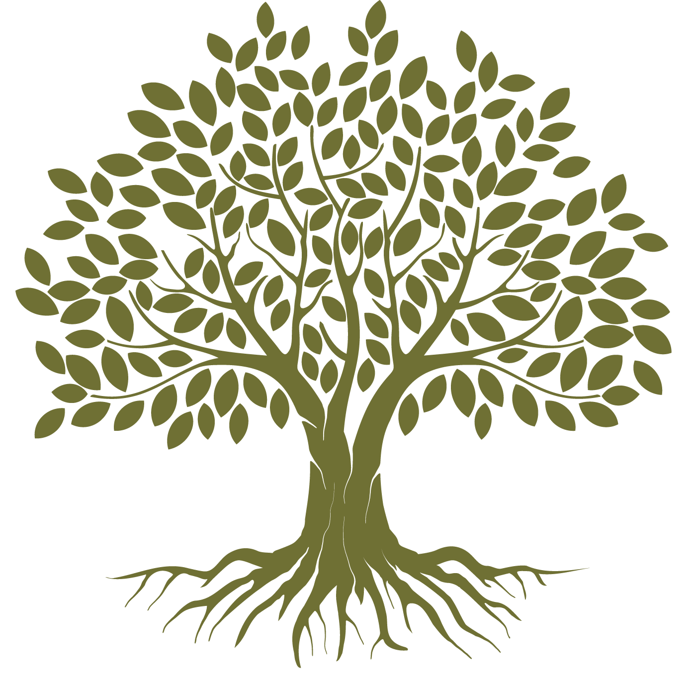 logo-arbre-retraiteavenir